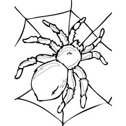 Página para colorir: Aranha (animais) #595 - Páginas para Colorir Imprimíveis Gratuitamente