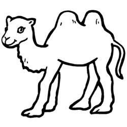 Página para colorir: Camelo (animais) #1661 - Páginas para Colorir Imprimíveis Gratuitamente