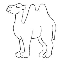 Página para colorir: Camelo (animais) #1664 - Páginas para Colorir Imprimíveis Gratuitamente