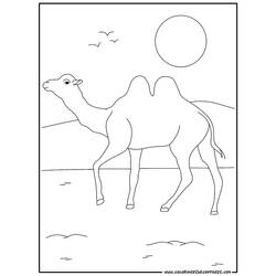 Página para colorir: Camelo (animais) #1672 - Páginas para Colorir Imprimíveis Gratuitamente