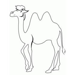 Página para colorir: Camelo (animais) #1674 - Páginas para Colorir Imprimíveis Gratuitamente