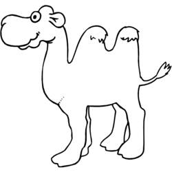 Página para colorir: Camelo (animais) #1676 - Páginas para Colorir Imprimíveis Gratuitamente