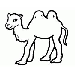 Página para colorir: Camelo (animais) #1681 - Páginas para Colorir Imprimíveis Gratuitamente