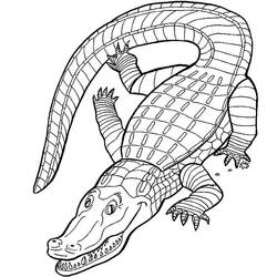 Página para colorir: Crocodilo (animais) #4791 - Páginas para Colorir Imprimíveis Gratuitamente