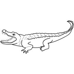 Página para colorir: Crocodilo (animais) #4797 - Páginas para Colorir Imprimíveis Gratuitamente