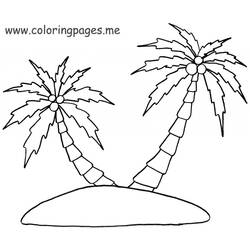Página para colorir: Palma (Natureza) #161278 - Páginas para Colorir Imprimíveis Gratuitamente