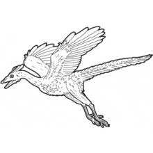 Desenho Dinossauro (Animais Pré-históricos) #5519 para imprimir e colorir