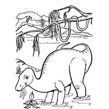 Desenho Dinossauro (Animais Pré-históricos) #5688 para imprimir e colorir