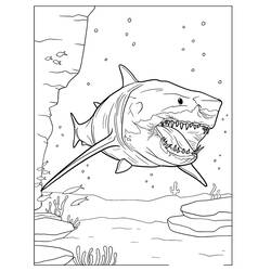 Página para colorir: Megalodonte (Animais Pré-históricos) #220696 - Páginas para Colorir Imprimíveis Gratuitamente