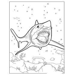 Página para colorir: Megalodonte (Animais Pré-históricos) #220697 - Páginas para Colorir Imprimíveis Gratuitamente