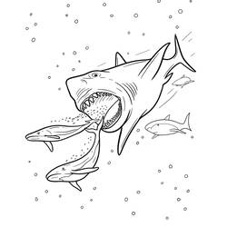 Página para colorir: Megalodonte (Animais Pré-históricos) #220711 - Páginas para Colorir Imprimíveis Gratuitamente