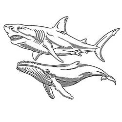 Página para colorir: Megalodonte (Animais Pré-históricos) #220721 - Páginas para Colorir Imprimíveis Gratuitamente