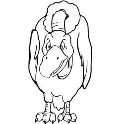 Desenho Abutre (Animais) #205311 para imprimir e colorir