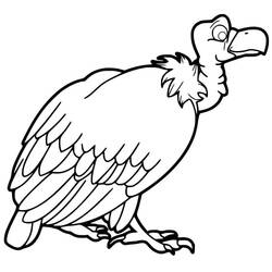 Desenho Abutre (Animais) #205312 para imprimir e colorir