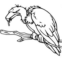 Desenho Abutre (Animais) #205338 para imprimir e colorir