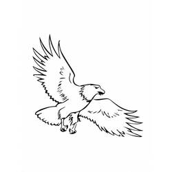 Desenho Águia (Animais) #185155 para imprimir e colorir
