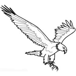 Desenho Águia (Animais) #185160 para imprimir e colorir