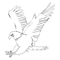 Página para colorir: Águia (animais) #276 - Páginas para Colorir Imprimíveis Gratuitamente
