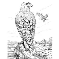 Página para colorir: Águia (animais) #277 - Páginas para Colorir Imprimíveis Gratuitamente