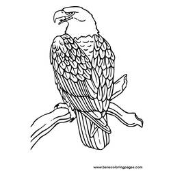 Página para colorir: Águia (animais) #279 - Páginas para Colorir Imprimíveis Gratuitamente