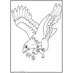 Página para colorir: Águia (animais) #290 - Páginas para Colorir Imprimíveis Gratuitamente