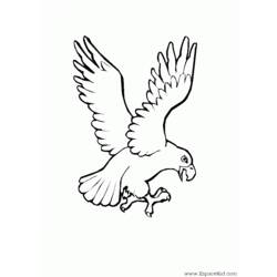 Página para colorir: Águia (animais) #303 - Páginas para Colorir Imprimíveis Gratuitamente