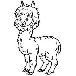Página para colorir: Alpaca (Animais) #217294 - Páginas para Colorir Imprimíveis Gratuitamente