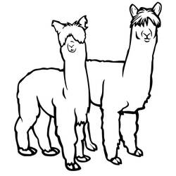 Página para colorir: Alpaca (Animais) #217310 - Páginas para Colorir Imprimíveis Gratuitamente