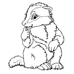 Desenho Animais da Floresta (Animais) #192058 para imprimir e colorir