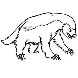 Desenho Animais da Floresta (Animais) #192059 para imprimir e colorir