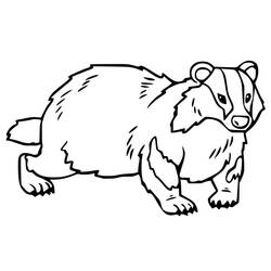 Desenho Animais da Floresta (Animais) #192060 para imprimir e colorir