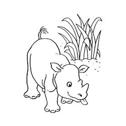 Desenho Animais da Floresta (Animais) #192061 para imprimir e colorir