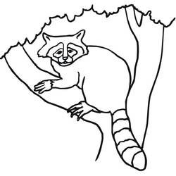 Desenho Animais da Floresta (Animais) #192068 para imprimir e colorir