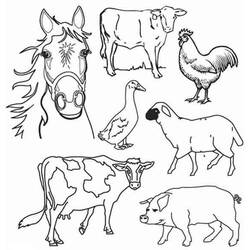 Página para colorir: Animais de fazenda (animais) #21381 - Páginas para Colorir Imprimíveis Gratuitamente