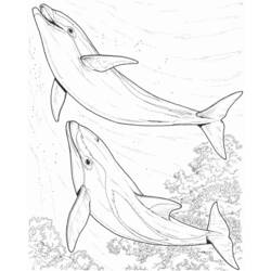 Página para colorir: animais marinhos (animais) #22015 - Páginas para Colorir Imprimíveis Gratuitamente