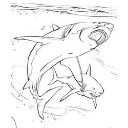Página para colorir: animais marinhos (animais) #22017 - Páginas para Colorir Imprimíveis Gratuitamente