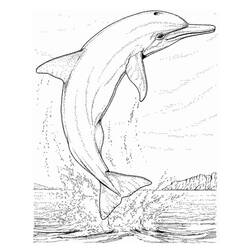 Página para colorir: animais marinhos (animais) #22143 - Páginas para Colorir Imprimíveis Gratuitamente