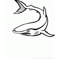 Página para colorir: animais marinhos (animais) #22144 - Páginas para Colorir Imprimíveis Gratuitamente