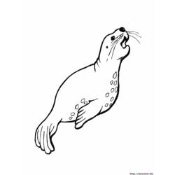 Página para colorir: animais marinhos (animais) #22145 - Páginas para Colorir Imprimíveis Gratuitamente