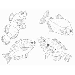 Página para colorir: animais marinhos (animais) #22222 - Páginas para Colorir Imprimíveis Gratuitamente