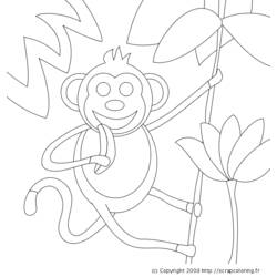 Página para colorir: Animais selvagens/da selva (animais) #21230 - Páginas para Colorir Imprimíveis Gratuitamente