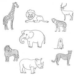 Página para colorir: Animais selvagens/da selva (animais) #21287 - Páginas para Colorir Imprimíveis Gratuitamente