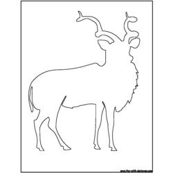 Página para colorir: Antílope (animais) #22640 - Páginas para Colorir Imprimíveis Gratuitamente