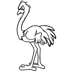 Desenho Avestruz (Animais) #204546 para imprimir e colorir