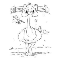 Desenho Avestruz (Animais) #204550 para imprimir e colorir