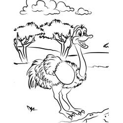 Desenho Avestruz (Animais) #204555 para imprimir e colorir