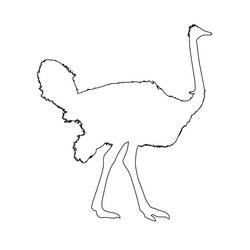 Desenho Avestruz (Animais) #204567 para imprimir e colorir