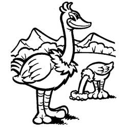 Desenho Avestruz (Animais) #204571 para imprimir e colorir