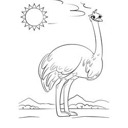 Desenho Avestruz (Animais) #204585 para imprimir e colorir