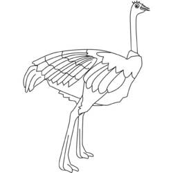 Página para colorir: Avestruz (animais) #682 - Páginas para Colorir Imprimíveis Gratuitamente